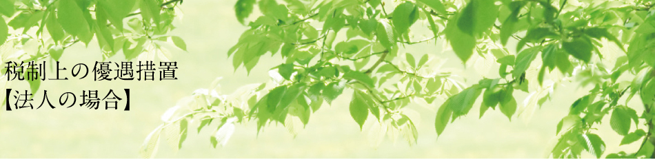 税制上の優遇措置［法人の場合］］
