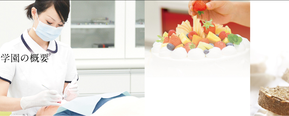 学園の概要